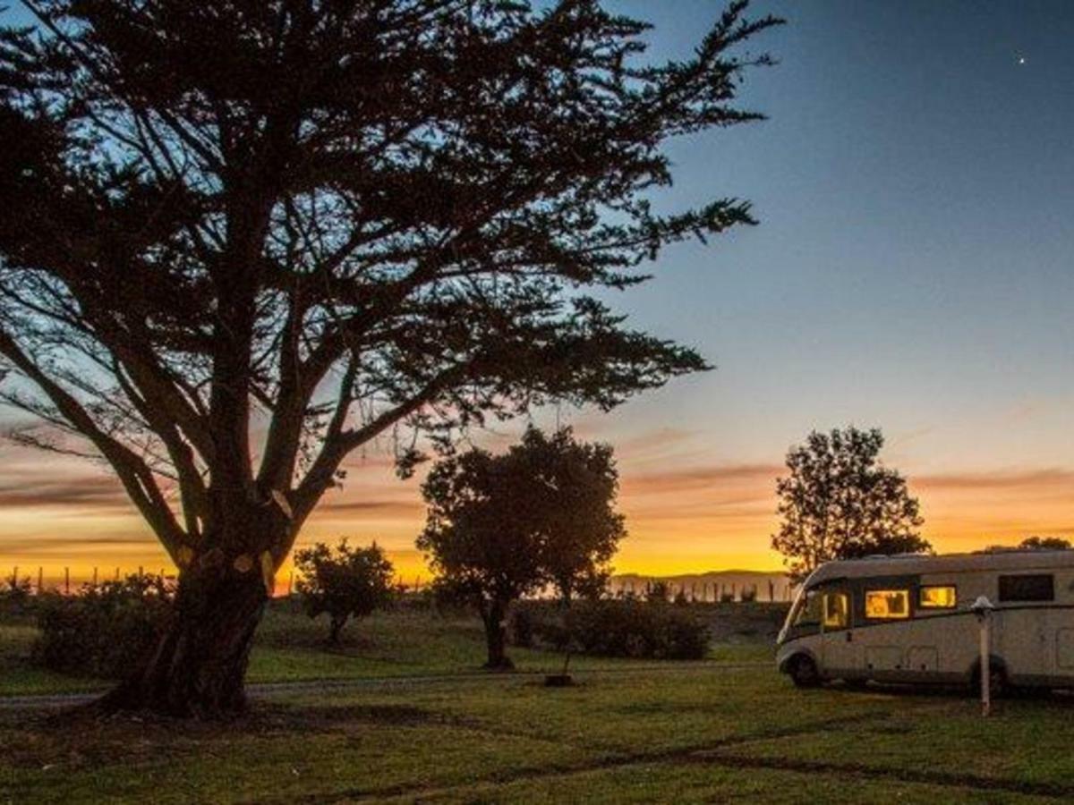 Mahia Motel And Holiday Park ภายนอก รูปภาพ